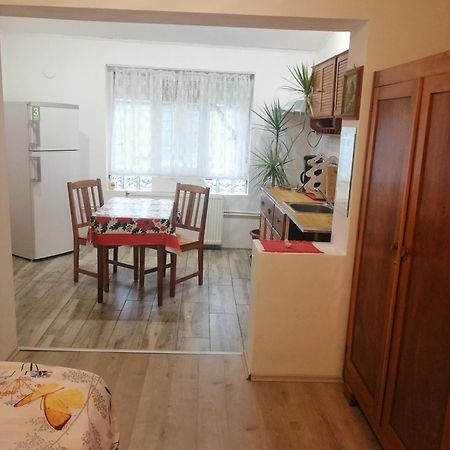 טימישוארה Moss'S Economy Studio מראה חיצוני תמונה