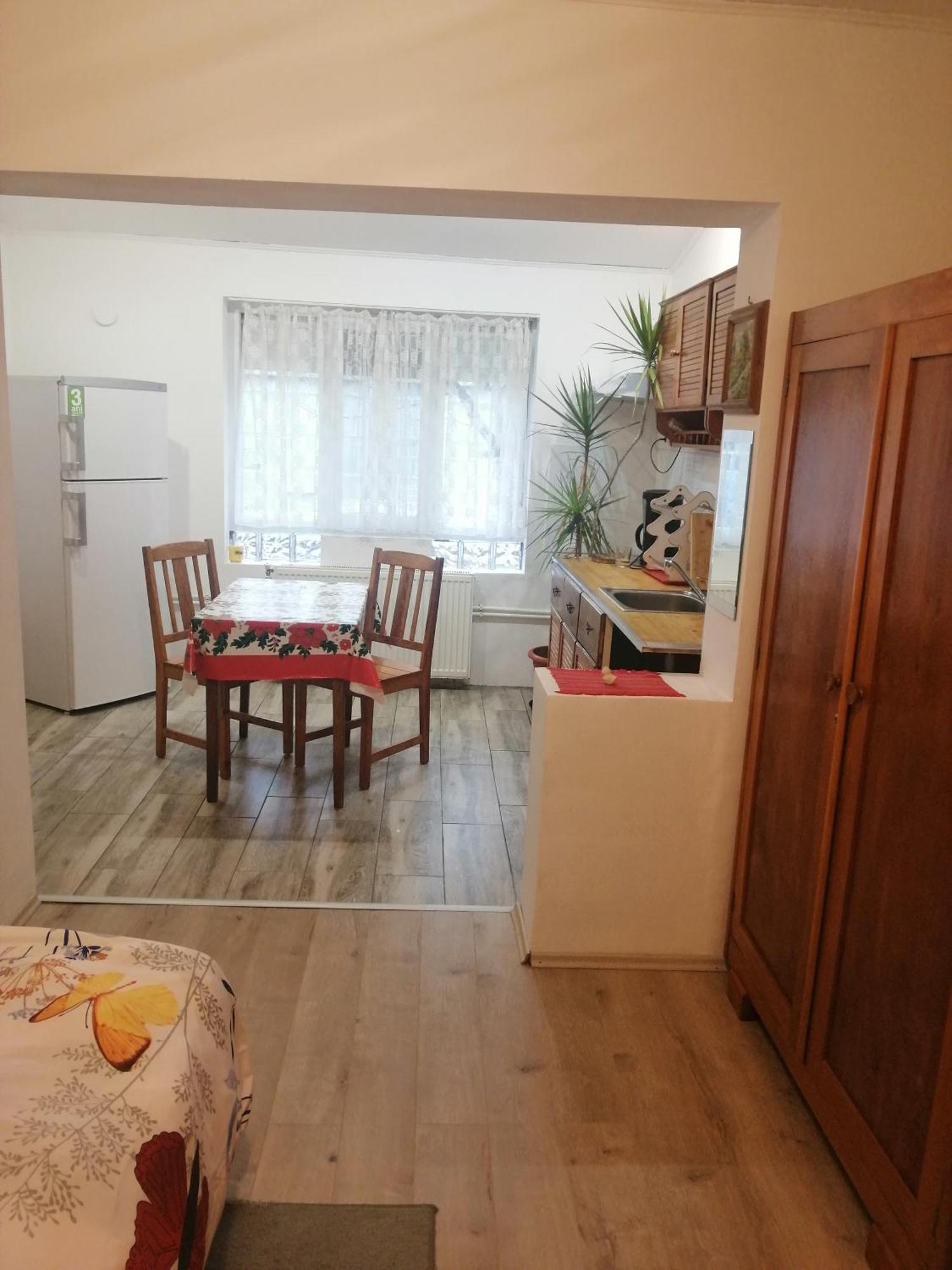 טימישוארה Moss'S Economy Studio מראה חיצוני תמונה